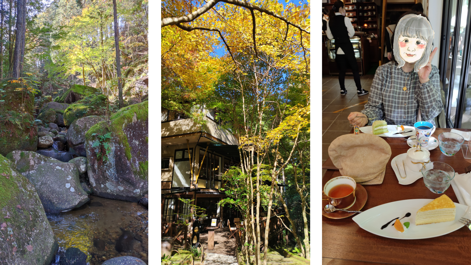 呂久沢の森&nbs;Ryo-an了庵